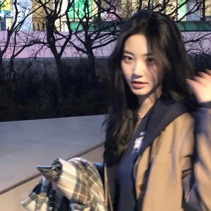 格里芬历险记